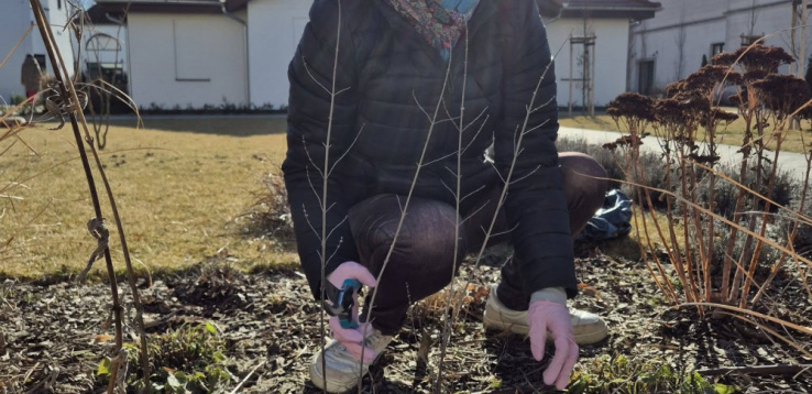 Wiosenne porządki w ogrodzie